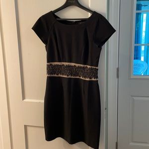 The Limited- Work Dress
